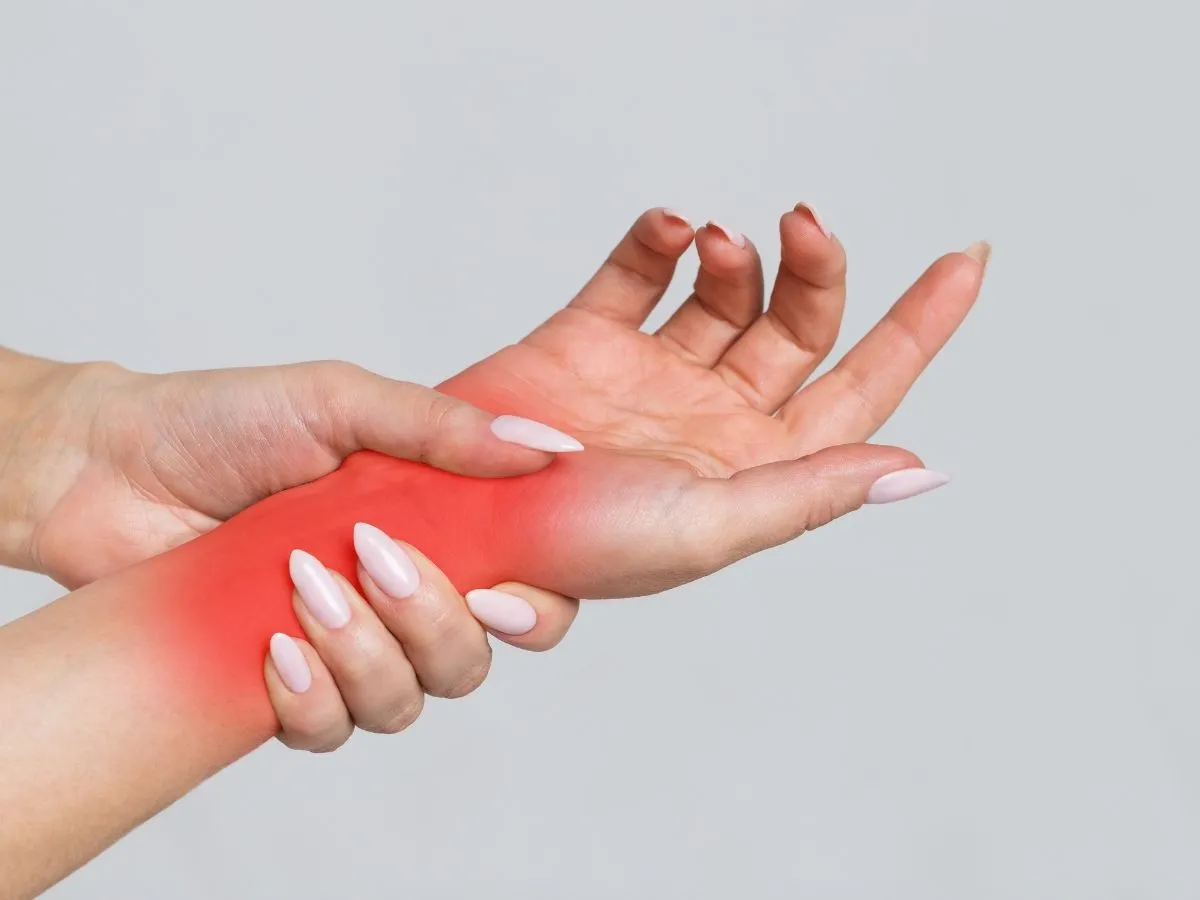 Artículos Recientes